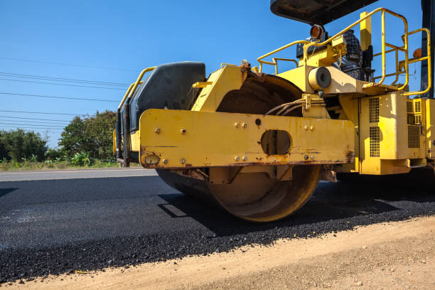 Best Custom Driveway Pavers  in Gardnerville Ranchos, NV